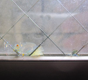 サビ割れした網入りガラス